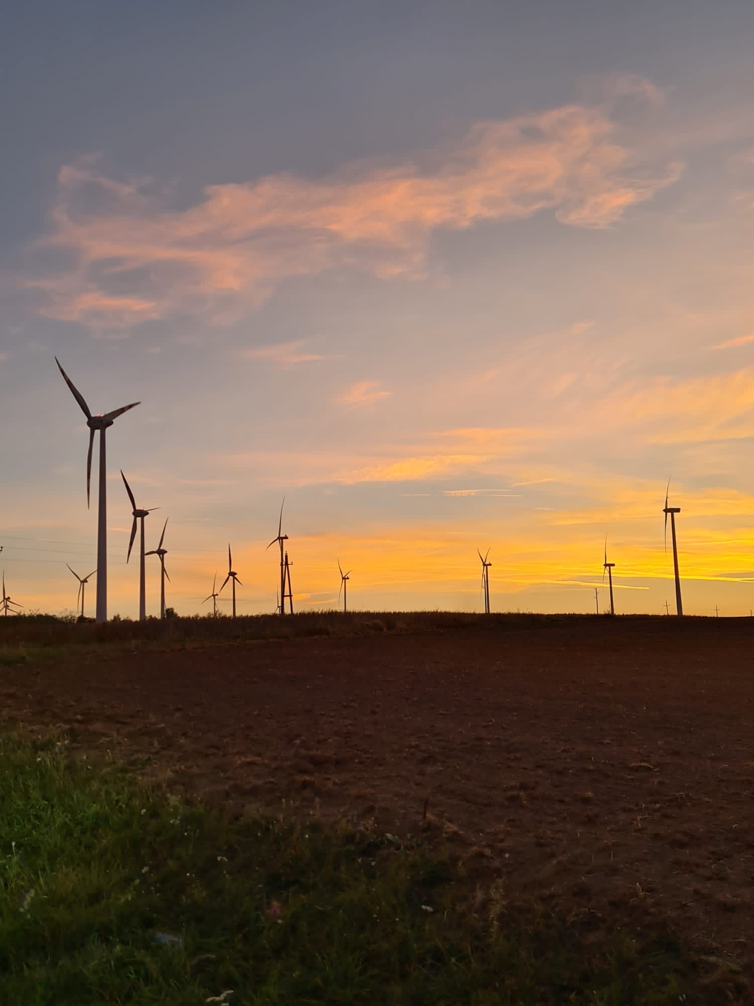 Windräder im Sonnenuntergang